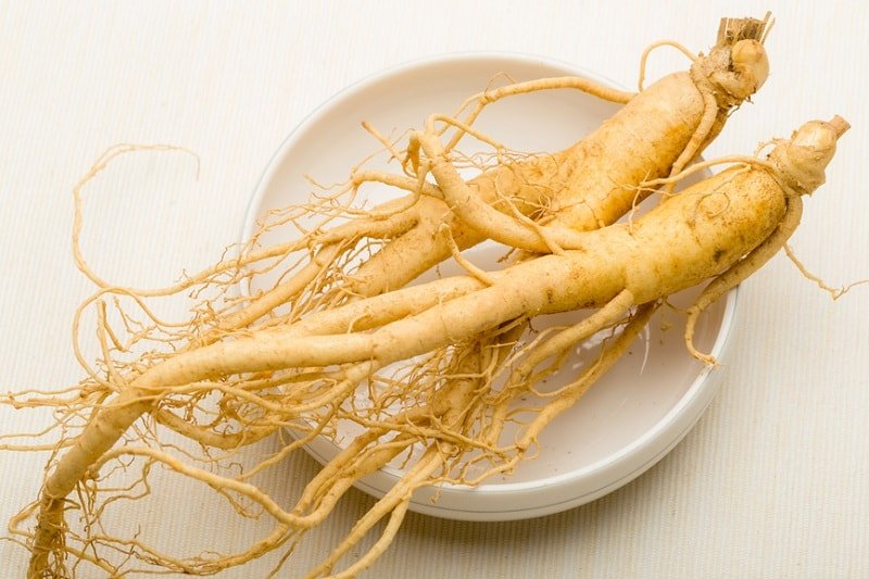 Raiz de ginseng